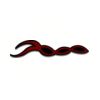5 Pack - Oval Sticker 3 1/2 Thumbnail