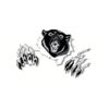 5 Pack - Oval Sticker 3 1/2 Thumbnail