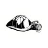 5 Pack - Oval Sticker 3 1/2 Thumbnail