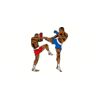5 Pack - Oval Sticker 3 1/2 Thumbnail