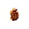 5 Pack - Oval Sticker 3 1/2 Thumbnail