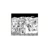 5 Pack - Oval Sticker 3 1/2 Thumbnail