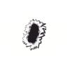 5 Pack - Oval Sticker 3 1/2 Thumbnail