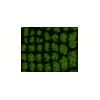5 Pack - Oval Sticker 3 1/2 Thumbnail