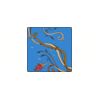 5 Pack - Oval Sticker 3 1/2 Thumbnail