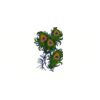 5 Pack - Oval Sticker 3 1/2 Thumbnail