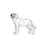 5 Pack - Oval Sticker 3 1/2 Thumbnail