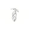 5 Pack - Oval Sticker 3 1/2 Thumbnail
