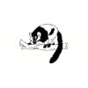 5 Pack - Oval Sticker 3 1/2 Thumbnail