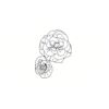 5 Pack - Oval Sticker 3 1/2 Thumbnail