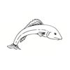 5 Pack - Oval Sticker 3 1/2 Thumbnail