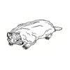 5 Pack - Oval Sticker 3 1/2 Thumbnail