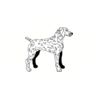 5 Pack - Oval Sticker 3 1/2 Thumbnail