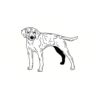 5 Pack - Oval Sticker 3 1/2 Thumbnail