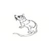 5 Pack - Oval Sticker 3 1/2 Thumbnail