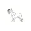 5 Pack - Oval Sticker 3 1/2 Thumbnail