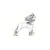 5 Pack - Oval Sticker 3 1/2 Thumbnail