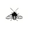 5 Pack - Oval Sticker 3 1/2 Thumbnail