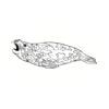 5 Pack - Oval Sticker 3 1/2 Thumbnail