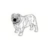 5 Pack - Oval Sticker 3 1/2 Thumbnail