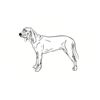 5 Pack - Oval Sticker 3 1/2 Thumbnail