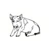 5 Pack - Oval Sticker 3 1/2 Thumbnail