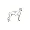 5 Pack - Oval Sticker 3 1/2 Thumbnail