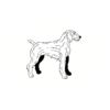 5 Pack - Oval Sticker 3 1/2 Thumbnail
