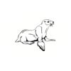 5 Pack - Oval Sticker 3 1/2 Thumbnail