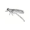 5 Pack - Oval Sticker 3 1/2 Thumbnail