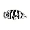 5 Pack - Oval Sticker 3 1/2 Thumbnail