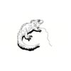 5 Pack - Oval Sticker 3 1/2 Thumbnail