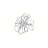 5 Pack - Oval Sticker 3 1/2 Thumbnail
