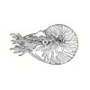 5 Pack - Oval Sticker 3 1/2 Thumbnail