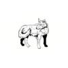 5 Pack - Oval Sticker 3 1/2 Thumbnail