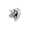 5 Pack - Oval Sticker 3 1/2 Thumbnail