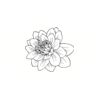 5 Pack - Oval Sticker 3 1/2 Thumbnail