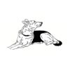 5 Pack - Oval Sticker 3 1/2 Thumbnail