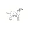 5 Pack - Oval Sticker 3 1/2 Thumbnail