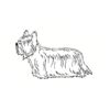 5 Pack - Oval Sticker 3 1/2 Thumbnail