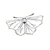 5 Pack - Oval Sticker 3 1/2 Thumbnail