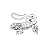 5 Pack - Oval Sticker 3 1/2 Thumbnail