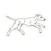 5 Pack - Oval Sticker 3 1/2 Thumbnail