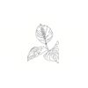 5 Pack - Oval Sticker 3 1/2 Thumbnail