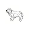 5 Pack - Oval Sticker 3 1/2 Thumbnail