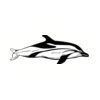 5 Pack - Oval Sticker 3 1/2 Thumbnail