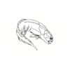 5 Pack - Oval Sticker 3 1/2 Thumbnail