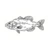 5 Pack - Oval Sticker 3 1/2 Thumbnail