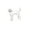 5 Pack - Oval Sticker 3 1/2 Thumbnail