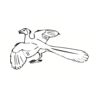5 Pack - Oval Sticker 3 1/2 Thumbnail